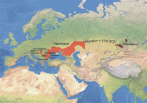 yamnaya folket|Enormt DNA